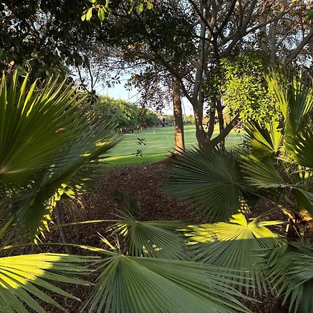 Exclusive In Golf Near The
